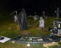 zombies 29
