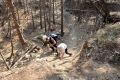 downhill 04