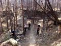 downhill 08