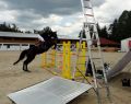 12069 show jump 13