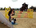 12069 show jump 14