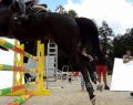 12069 show jump 16