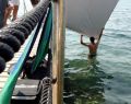 12071 splashing sea 07