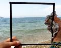 12071 splashing sea 10