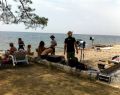 12071 splashing sea 12