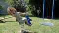 12070 children in playground 09