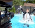 12082 business by the pool 18