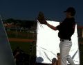 12073 baseball softball 01