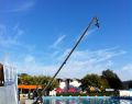 12075 swimming 05