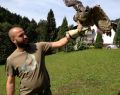 12055 falconry 01