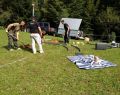 12055 falconry 02