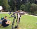 12055 falconry 11