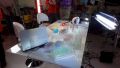12106 lab 07