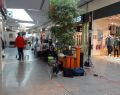 12107 shopping 05
