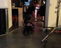 13004 chef bts 10