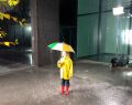 13074 rain dance 32